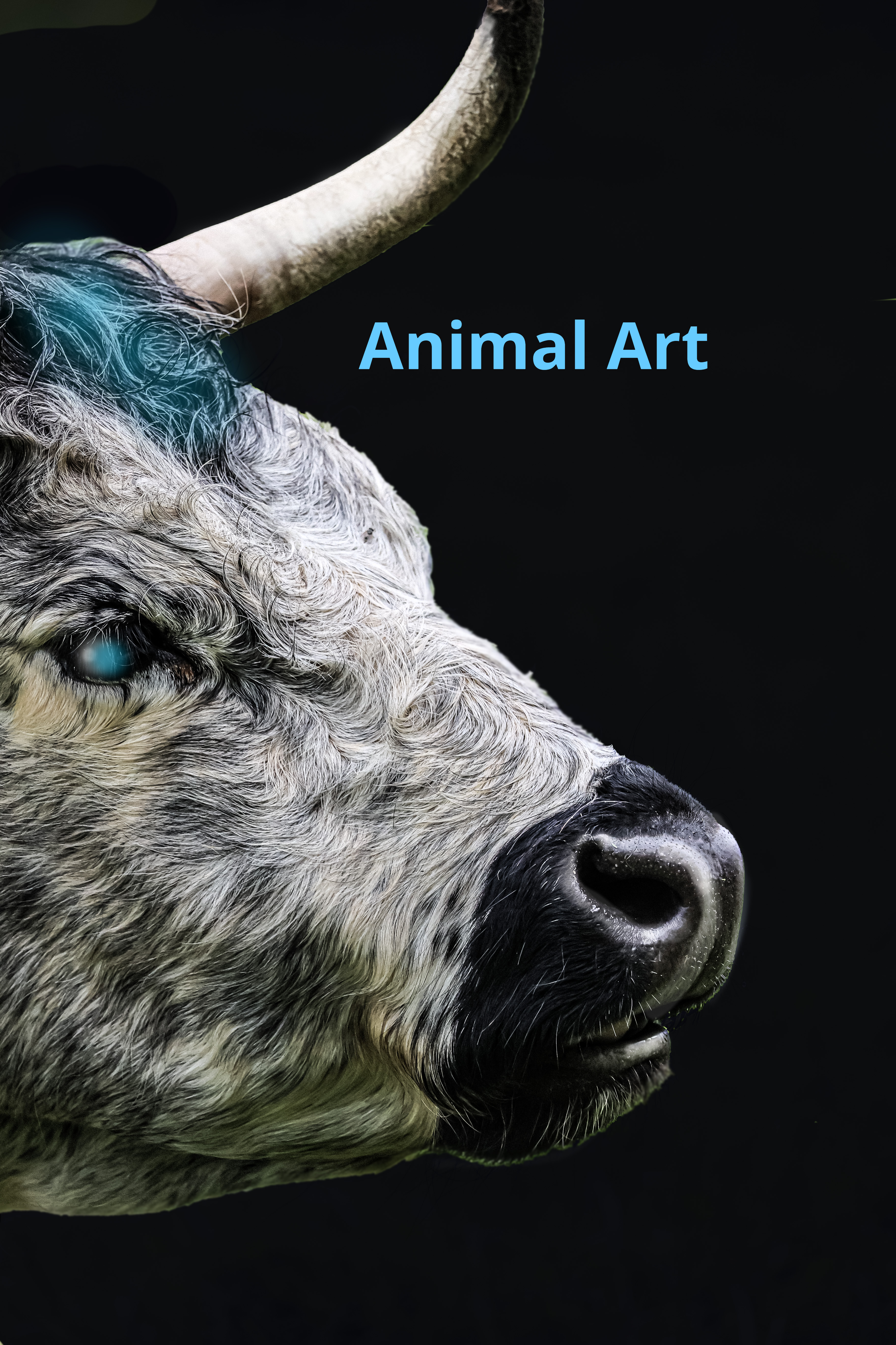 CoolblueCow